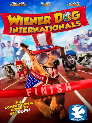 Wiener dog internationals